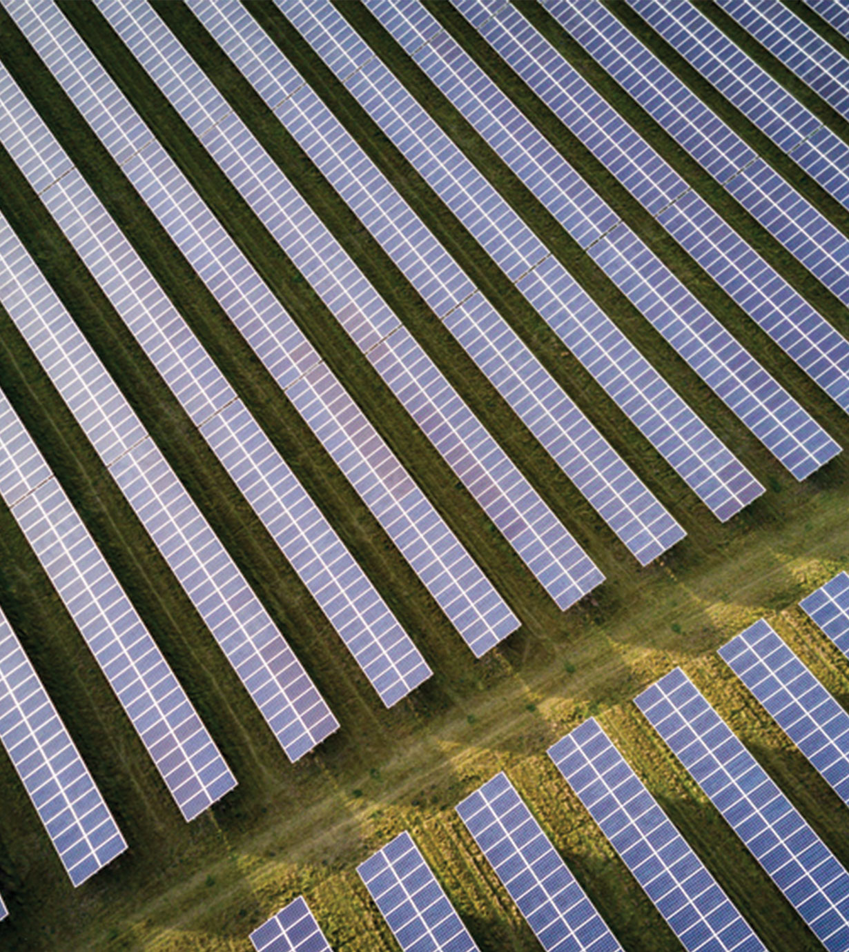 Solar Farms